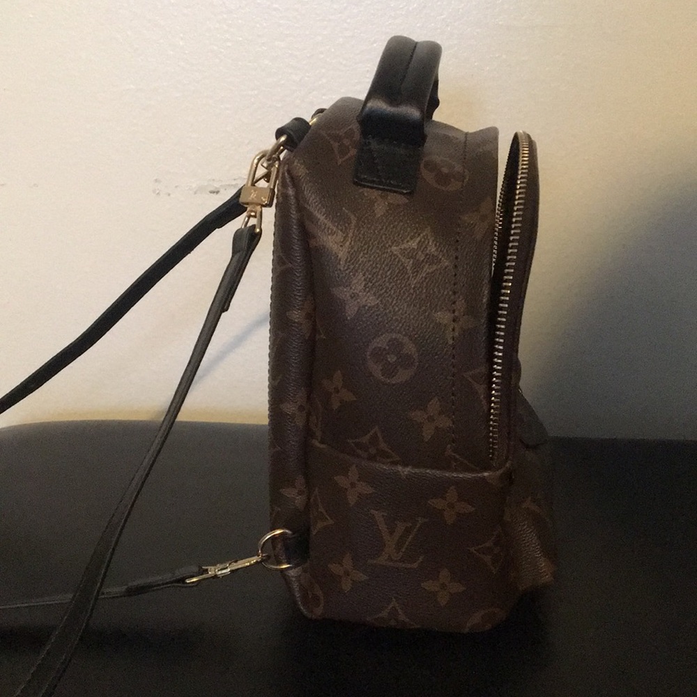 LV Palm Springs Mini Backpack